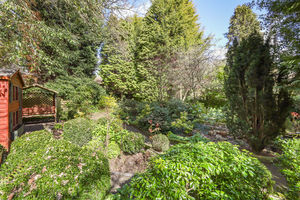 Photo 9- click for photo gallery